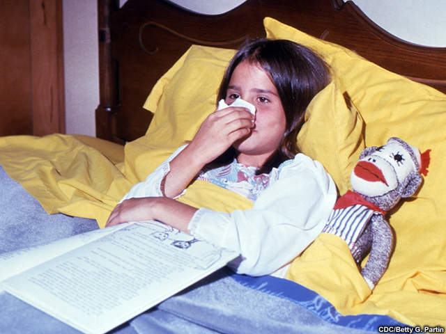 by the common cold virus. common cold bacteria. by the common cold virus.