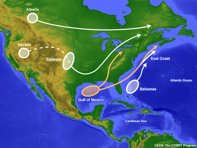 Cyclone genesis and tracks