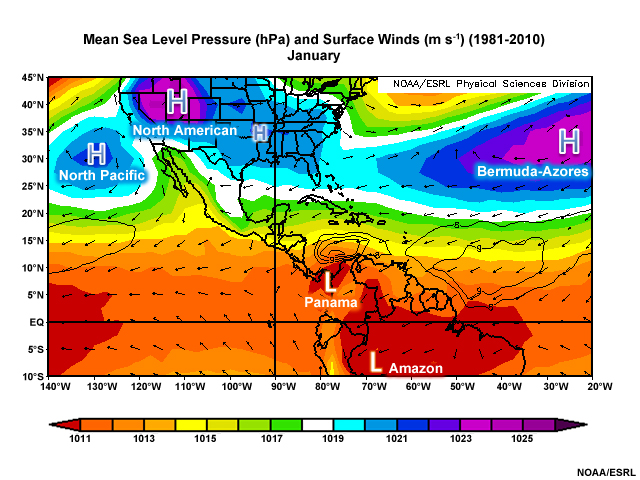 Mean Sea Level Pressure and Surface Winds January (1981-2010)