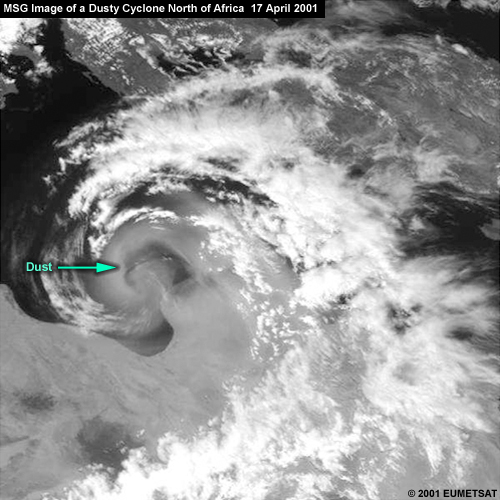 MSG VIS image of a dust cyclone north of Africa on 17 April 2001