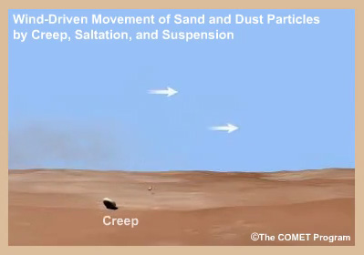 Animation of aeolian sediment transportation by creep, saltation, and suspension