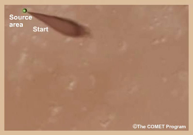 Animation of the life cycle of a summer shamal dust storm