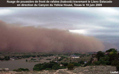 Photographie d'un nuage de poussière lié au front de rafales (haboob) traversant le Llano Estacado vers le Yellow House Canyon, Texas, le 18 juin 2009