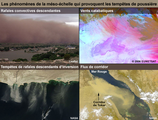 Images composites montrant les types de phénomènes de la mésoéchelle qui induisent les tempêtes de poussière (Rafales convectives descendantes, vents catabatiques, tempêtes de flux descendants d'inversion et flux de corridor)