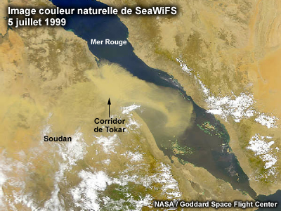 Image  SeaWiFS couleur naturelle d'une tempête de poussière sur la mer Rouge montrant un panache sortant du corridor de Tokar