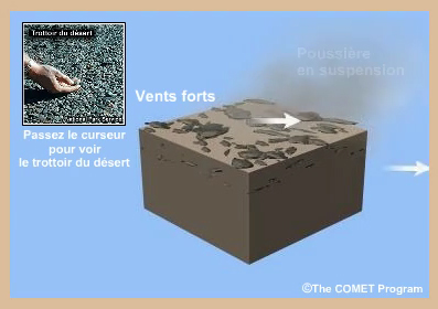 Photo de trottoir du dsert et de l'animation de sa formation
