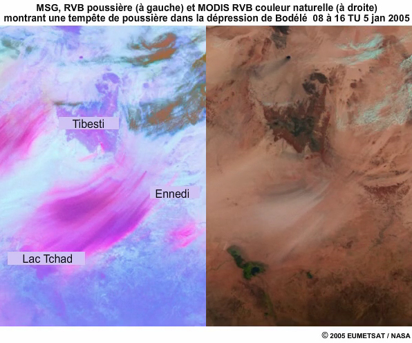 Deux panneaux d'animation en boucle de produits RVB poussire de MSG   gauche et de RVB couleur naturelle de MODIS  droite, le 5 janvier 2005 de 8  16 TU, montrant l'volution d'une tempte de poussire sur la dpression de Bodl