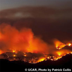 Wildfire