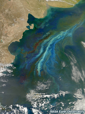 This satellite image reveals a massive phytoplankton bloom off of the Atlantic coast of Patagonia in December 2010. Scientists used seven spectral bands to highlight the differences in the plankton communities across this swath of ocean. 
