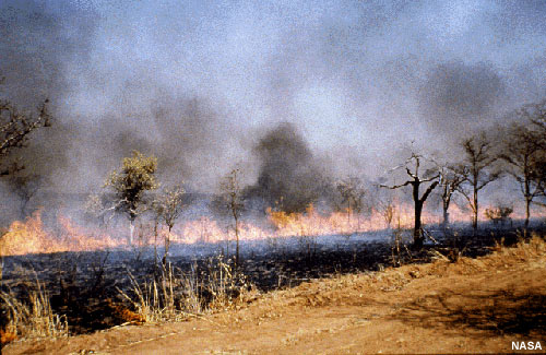 Biomass burning, including forest fires and the burning of fields in the tropics, is a large source of pollutants. 