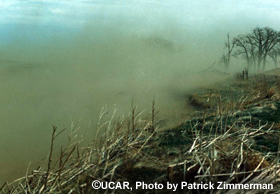 Pollution: biomass burning