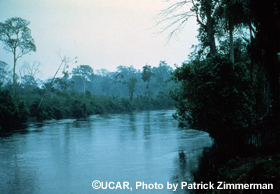 Methane research: swamp