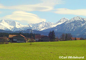 Bavarian meadow and alps.