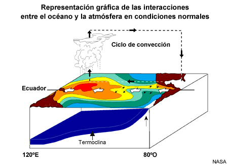 Representación gráfica de las interacciones entre el océano y la atmósfera en condiciones normales