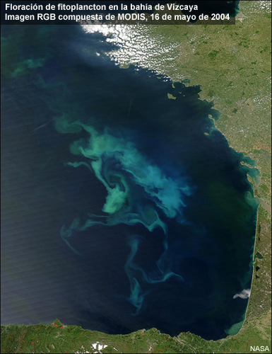 Imagen RGB compuesta de MODIS de floración de fitoplancton en la bahía de Vizcaya, 16 de mayo de 2004