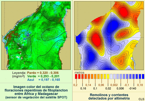 Imagen de floraciones repentinas de fitoplancton entre África y Madagascar detectadas por el sensor de vegetación a bordo del satélite SPOT (izquierda), e imagen de su correlación con los remolinos y las corrientes que detecta el altímetro del satélite (derecha)