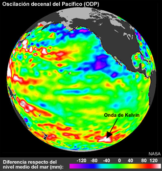 Vista mundial de la oscilación decenal del Pacífico (ODP) con indicación de una onda de Kelvin