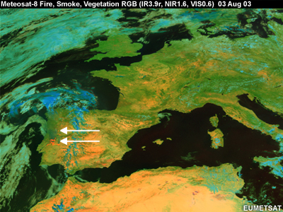 Meteosat Fire, Smoke, & Vegetation RGB