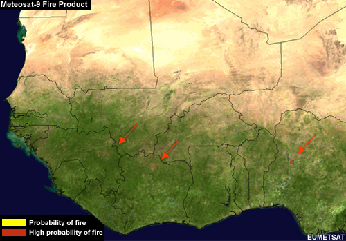 Meteosat Fire Product