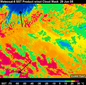 Meteosat SST Product without Cloud Mask