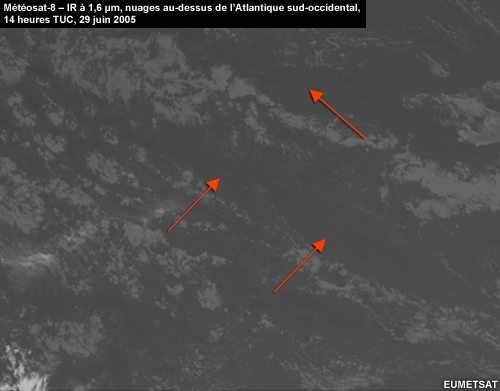 Image IR à 1,6 μm de Météosat, montrant des cumulus au-dessus de l’océan