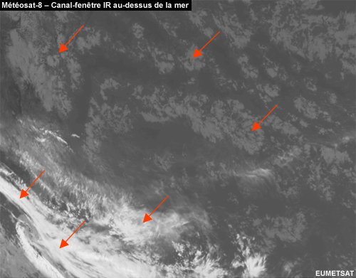 Image IR de Météosat d’une zone marine