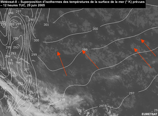 Image dans l’infrarouge de Météosat-8, avec superposition d’isothermes des températures de la surface de la mer prévues
