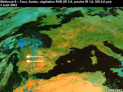 Feux, fumée, végétation RVB de Météosat