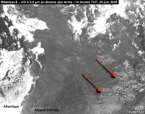 Image VIS à 0,8 μm Météosat au-dessus des terres