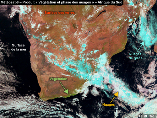 Produit « Végétation et phase des nuages » de Météosat, au-dessus de l’Afrique du Sud