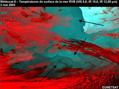 Températures de la surface de la mer RBV de Météosat