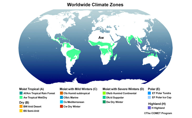 Tropical Wet/Dry