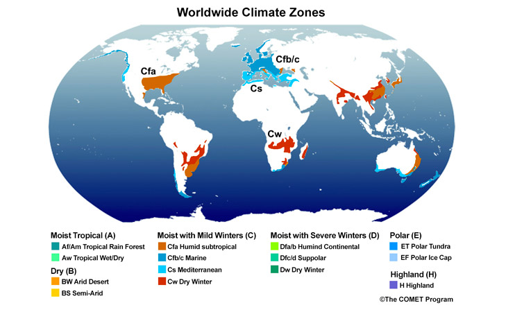 Moist Mild Winters