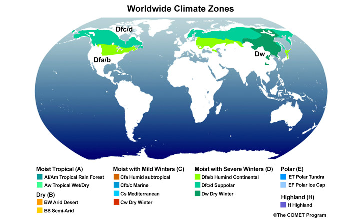 Moist Severe Winters