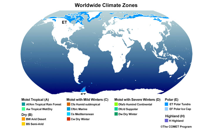 Polar Tundra