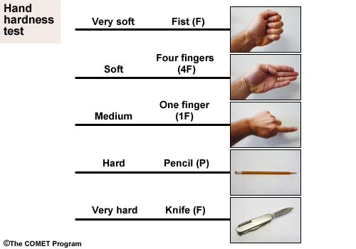 Hand Hardness Test