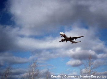View from ground of plane landing.