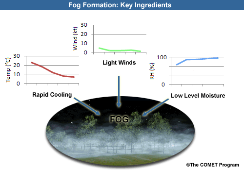 Conceptual diagram of fog ingredients