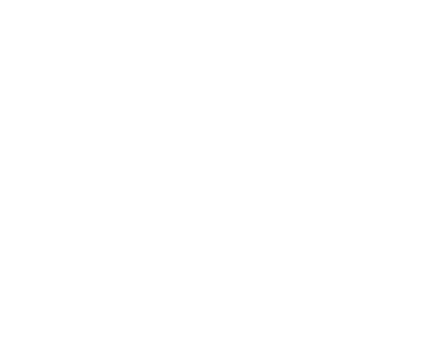 lat-long overlay