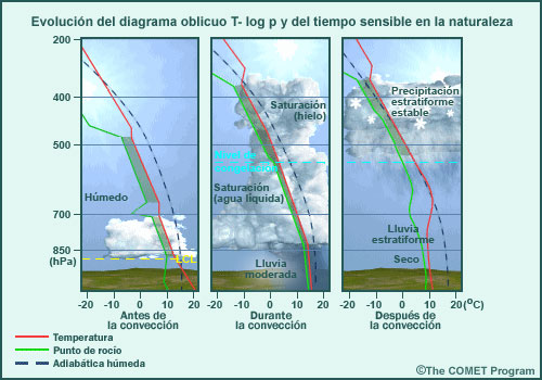 Evolución del perfil termodinámico y del tiempo sensible en la naturaleza