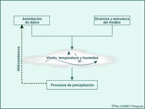 Procesos de precipitación y otros componentes de los modelos