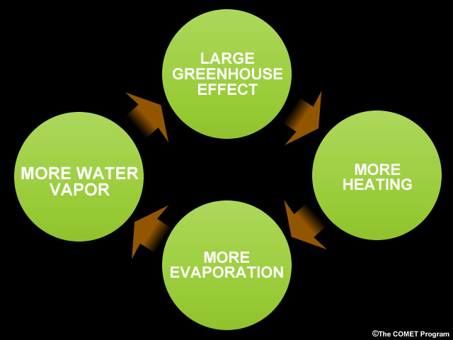 flow chart