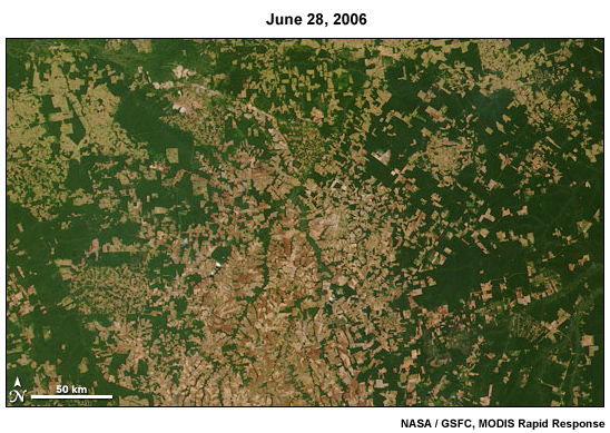 Deforestation in the Brazilian State of Mato Gross, June 28, 2006 Deforestation in the Brazilian State of Mato Gross, June 28, 2006
