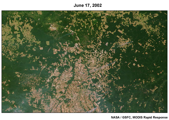 Deforestation in the Brazilian State of Mato Gross, June 17, 2002 Deforestation in the Brazilian State of Mato Gross, June 17, 2002