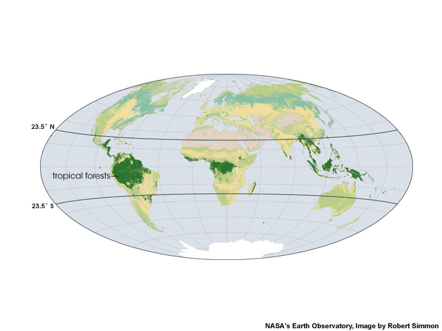 Map of the world's tropical forests (dark green) Map of the world's tropical forests (dark green)