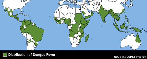 Worldwide distribution of dengue fever Worldwide distribution of dengue fever