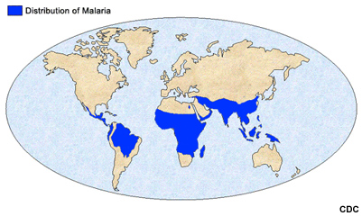 Worldwide distribution of malaria Worldwide distribution of malaria