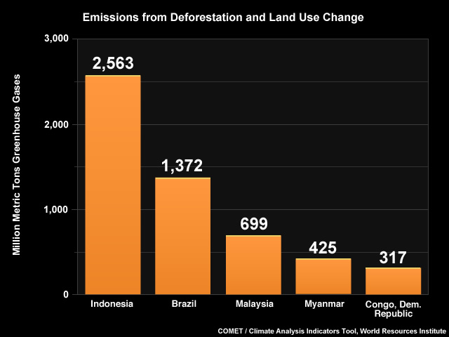 emission from deforestation land use change