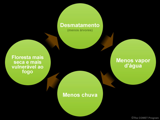 Ciclo do aumento da degradação da floresta e diminuição da incidência de chuvas Ciclo do aumento da degradação da floresta e diminuição da incidência de chuvas