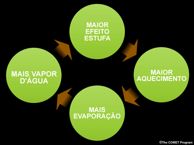 Ciclo de retroalimentação positiva de aquecimento, que leva a evaporação, que leva ao aumento do vapor d’água, que leva a um maior aquecimento
